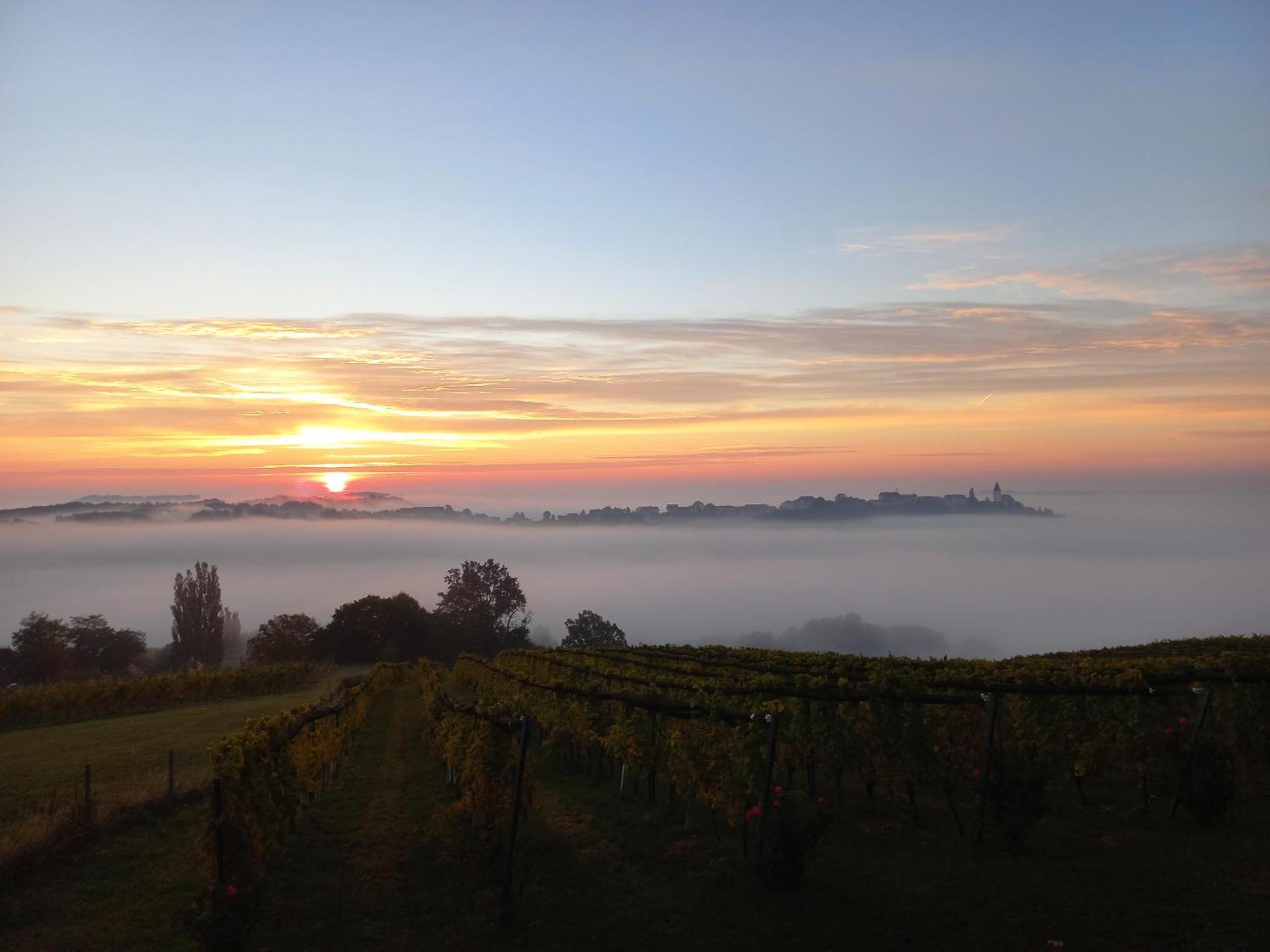 Winzerzimmer Scharl Sankt Anna am Aigen Exteriér fotografie